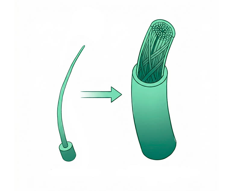 Editorial illustration, single MANUAL green monochrome palette: a thin weak strand next to a thick anchored st