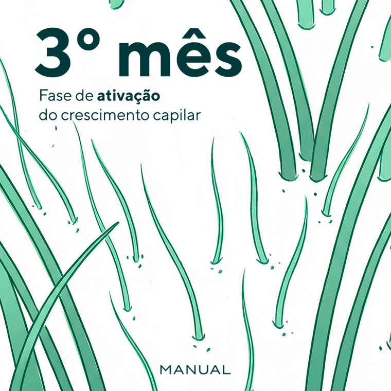 MANUAL HL WhatsApp timeline piece, 1:1, green monochrome: 